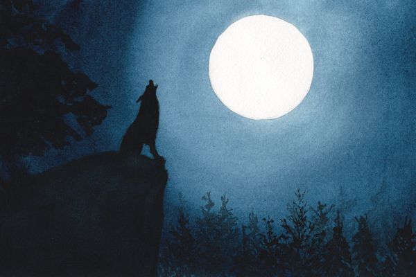 Howling Wolf Watercolor Painting
