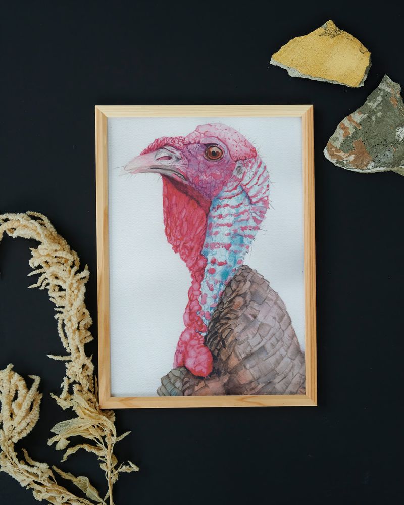 Watercolor Turkey Portrait